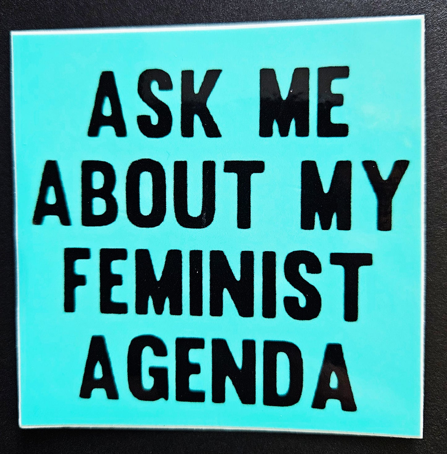 Vintage Reproduction Feminist Vinyl Stickers 3inch
